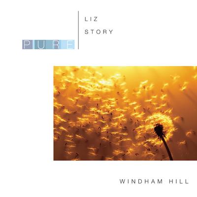 Wedding Rain By Liz Story's cover