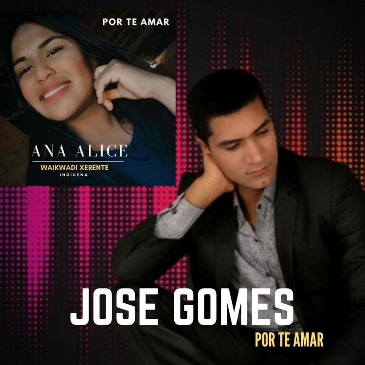 José Gomes e analice's avatar image