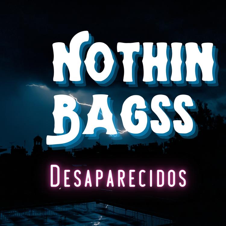 NOTHIN BAGSS's avatar image