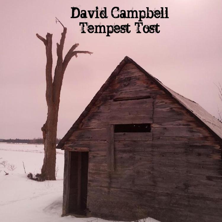 David Campbell's avatar image