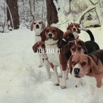 Goshen By Beirut's cover