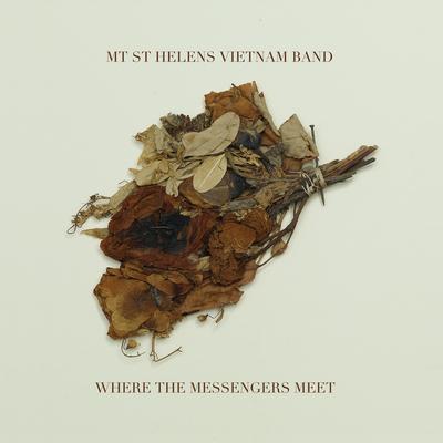 Mt. St. Helens Vietnam Band's cover