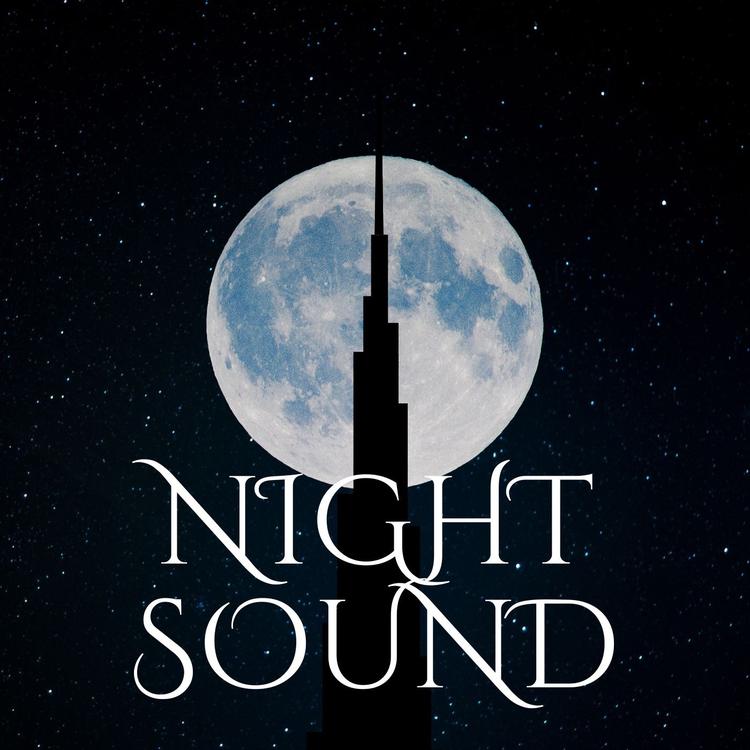 Night Sound's avatar image