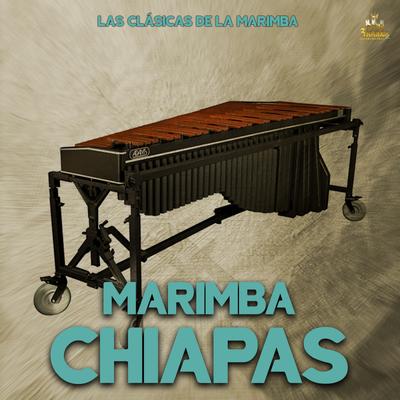 Las Clasicas De La Marimba's cover