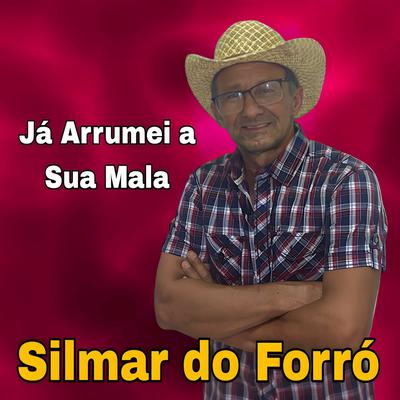 Já Arrumei a Sua Mala's cover