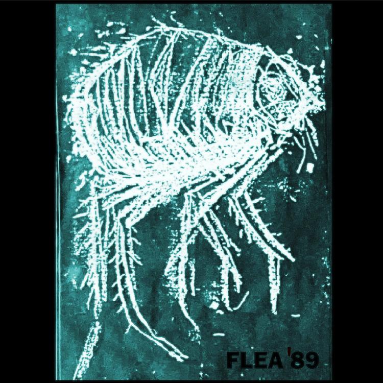 Flea's avatar image