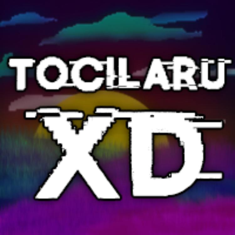 Tocilaru Xd's avatar image