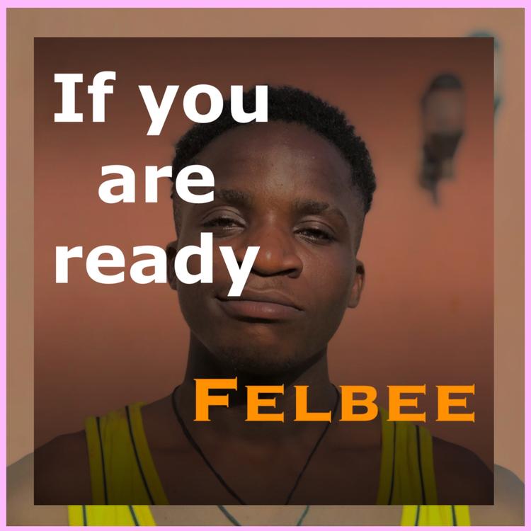 Felbee's avatar image