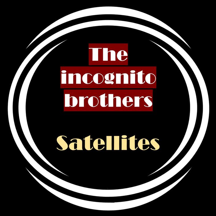 The Incognito Brothers's avatar image