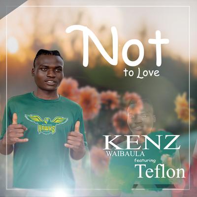Not To Love (feat. Teflon)'s cover