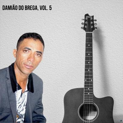 Damião do Brega, Vol. 5's cover
