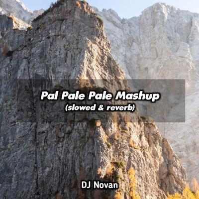 DJ Pal Pale Pale Mashup Slow Reverb's cover