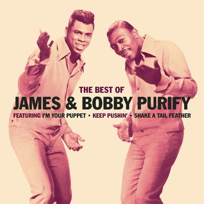 I'm Your Puppet By James & Bobby Purify's cover