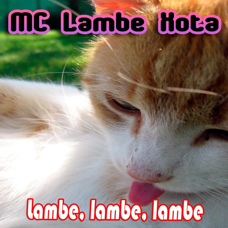 MC Lambe Xota's avatar image
