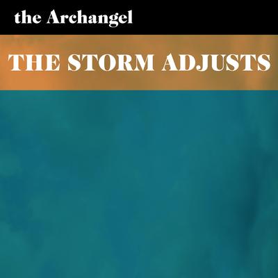 The Storm Adjusts's cover