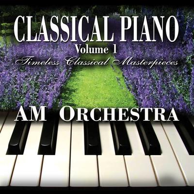 AM Orchestra's cover