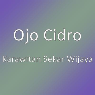 Ojo Cidro's cover