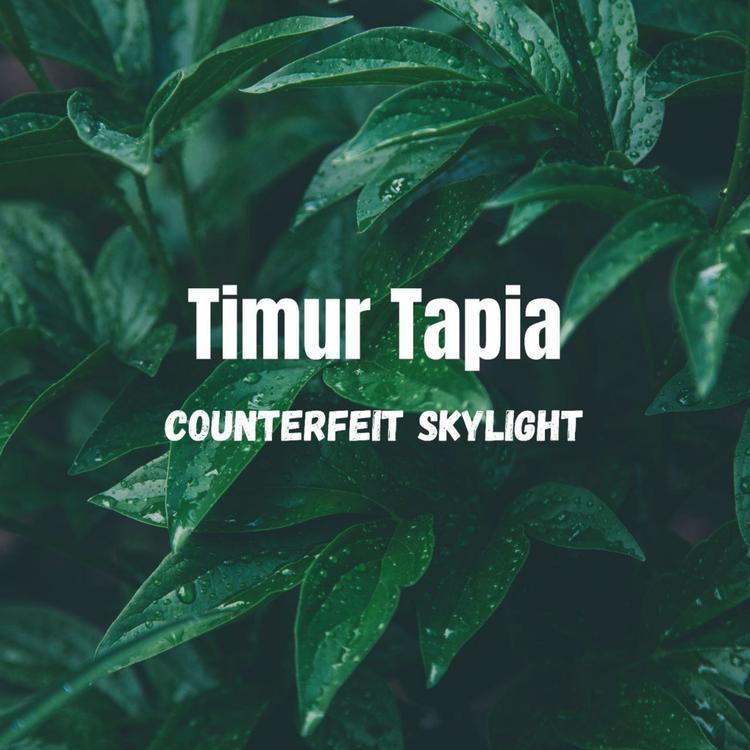 Timur Tapia's avatar image