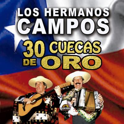 El Marinero By Los Hermanos Campo's cover