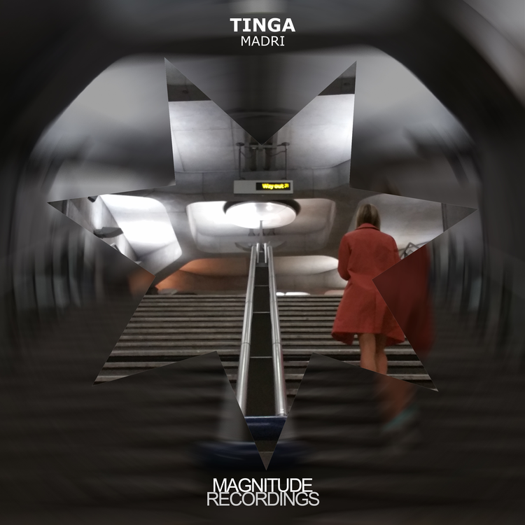 TINGA's avatar image