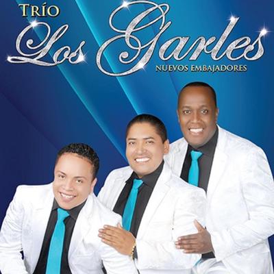 Hasta las 6 de la mañana By Trío Los Garles's cover