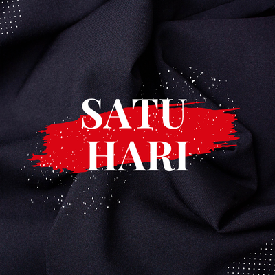 Satu Hari (Remix)'s cover