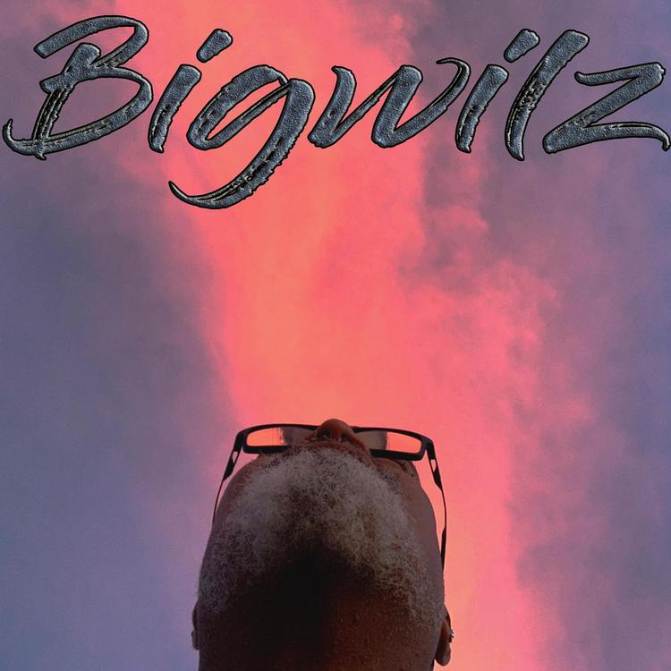 Bigwilz's avatar image