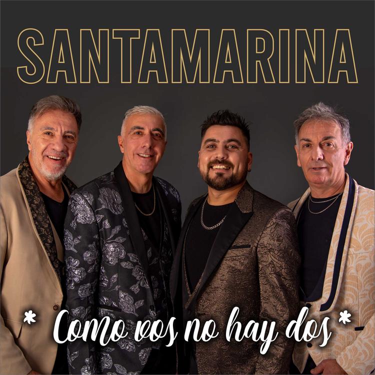 Santamarina's avatar image
