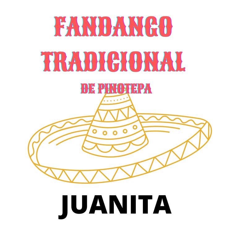 Fandango Tradicional de Pinotepa's avatar image