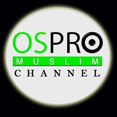 Robbighfirli By OSPRO MUSLIM CHANNEL's cover