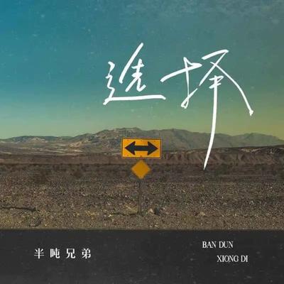 选择's cover