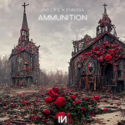 Ammunition's cover