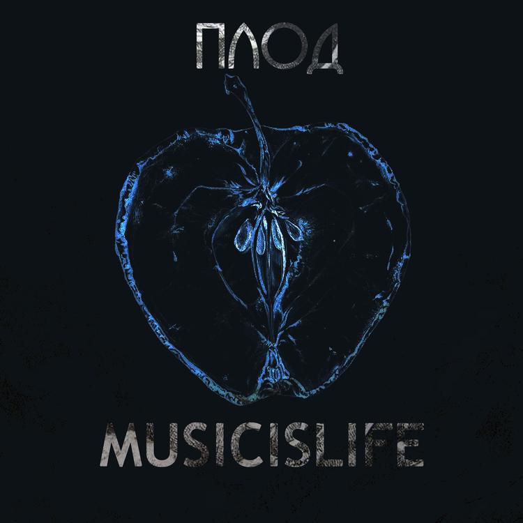 MusicIsLife's avatar image