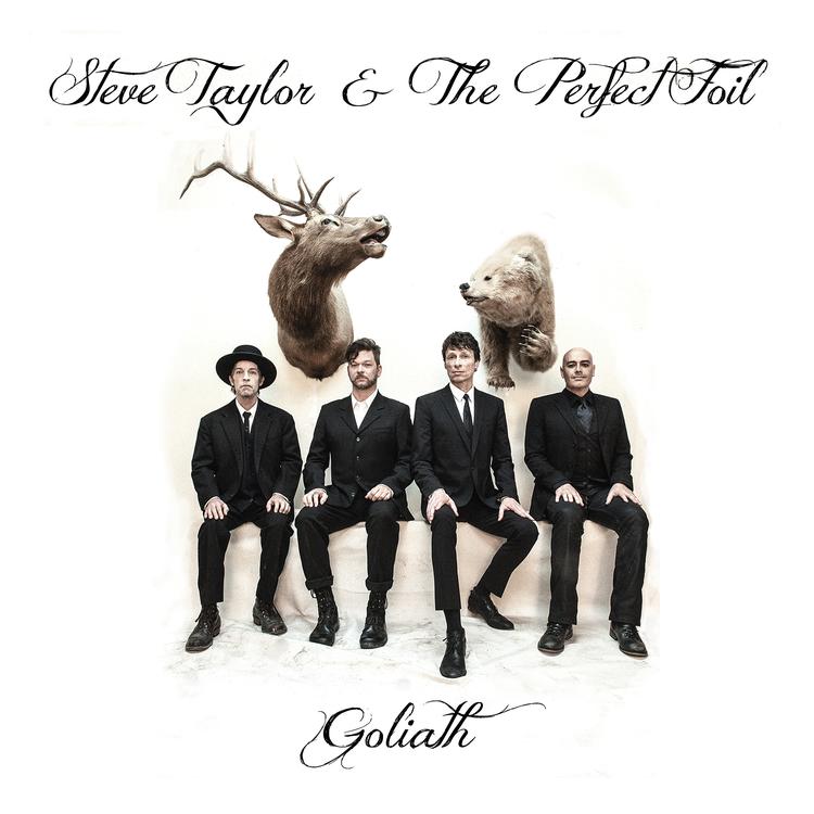 Steve Taylor & The Perfect Foil's avatar image