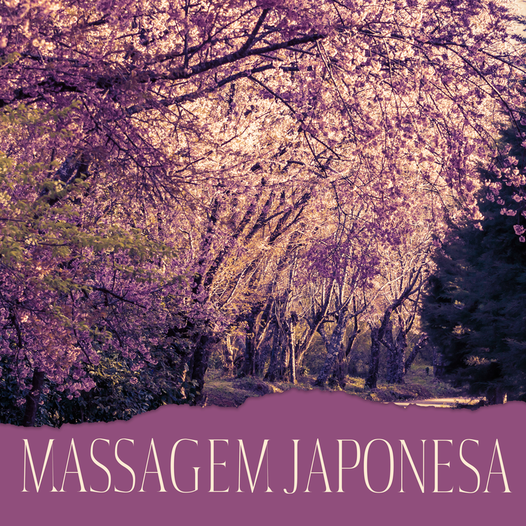 Academia de Música para Massagem Relaxamento's avatar image