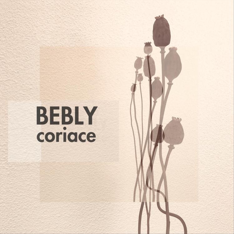 Bebly's avatar image