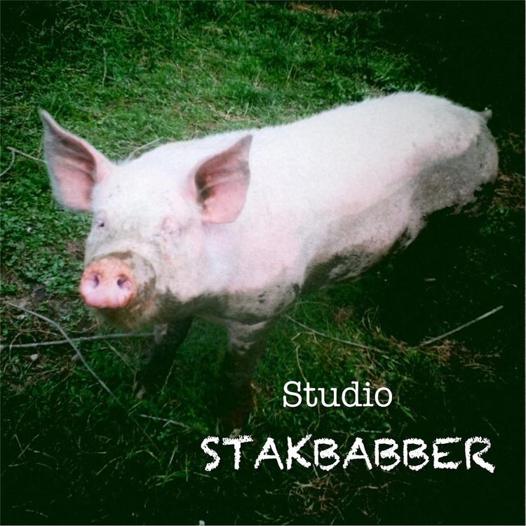 Studio Stakbabber's avatar image