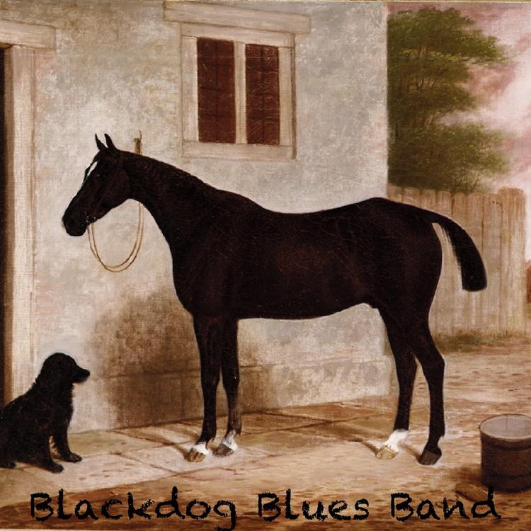 Blackdog Blues Band's avatar image