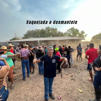 Vaquejada e Desmantelo By Kauan das muganga, MIMIM DO GADO's cover
