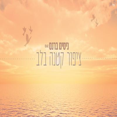 ציפור קטנה בלב By ניסים ברנס's cover