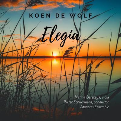 Koen De Wolf: Elegia's cover