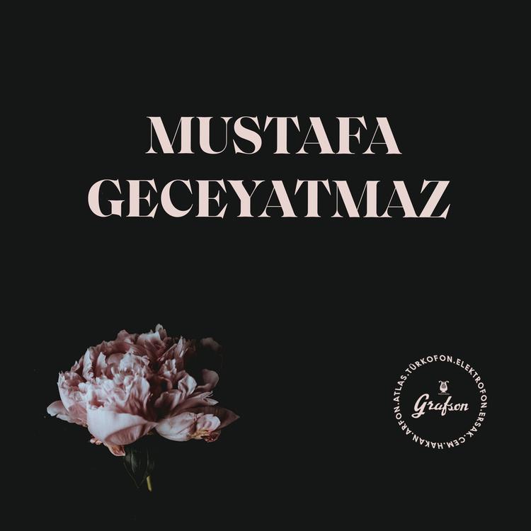 Mustafa Geceyatmaz's avatar image