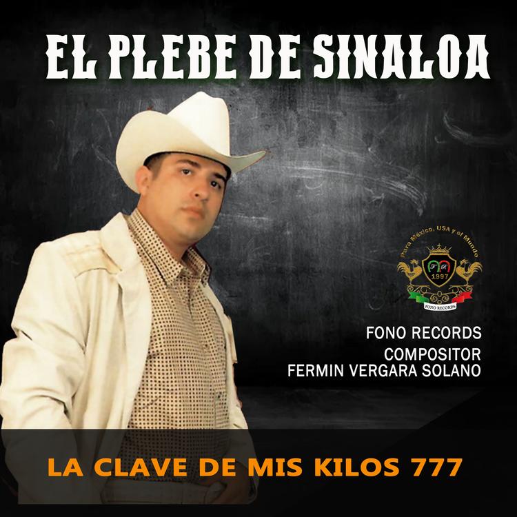 El Plebe de Sinaloa's avatar image
