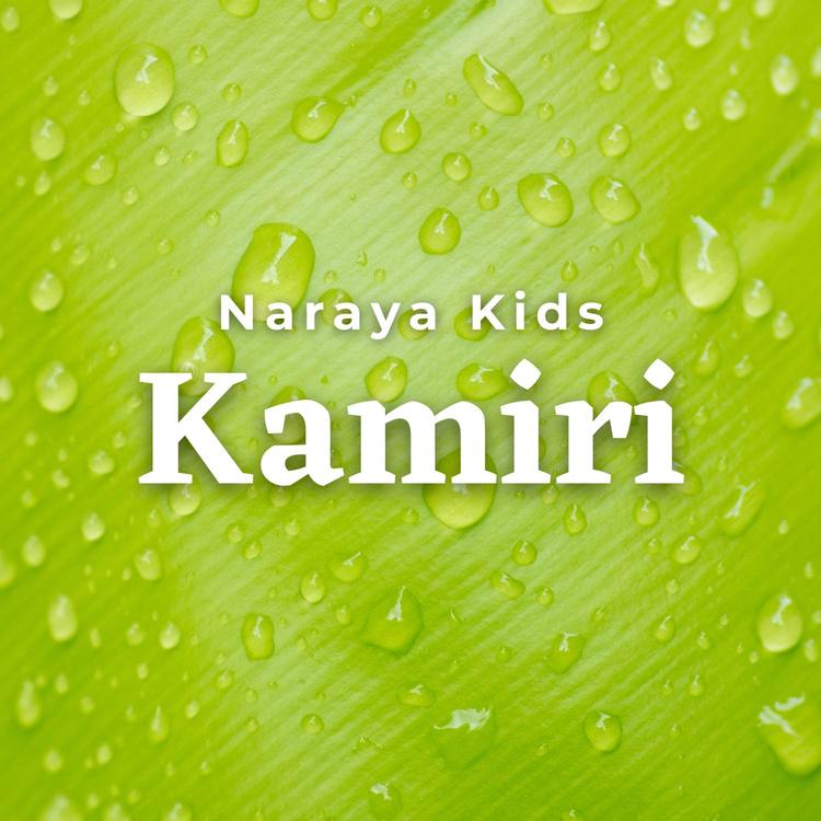Naraya Kids's avatar image