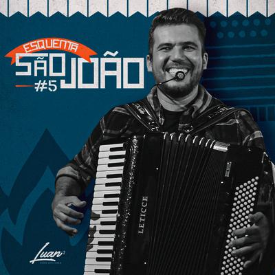 Sabiá By Luan Estilizado's cover