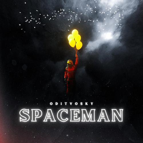 Spaceman: what is it all about?