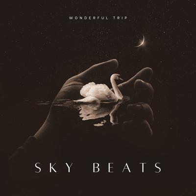 Sky Beats's cover