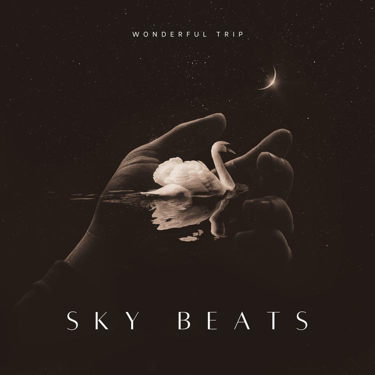 Sky Beats's avatar image