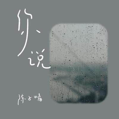 你说's cover