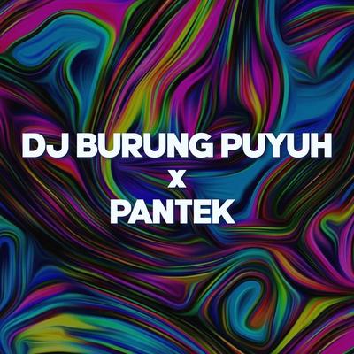 DJ Burung Puyuh x Pantek's cover